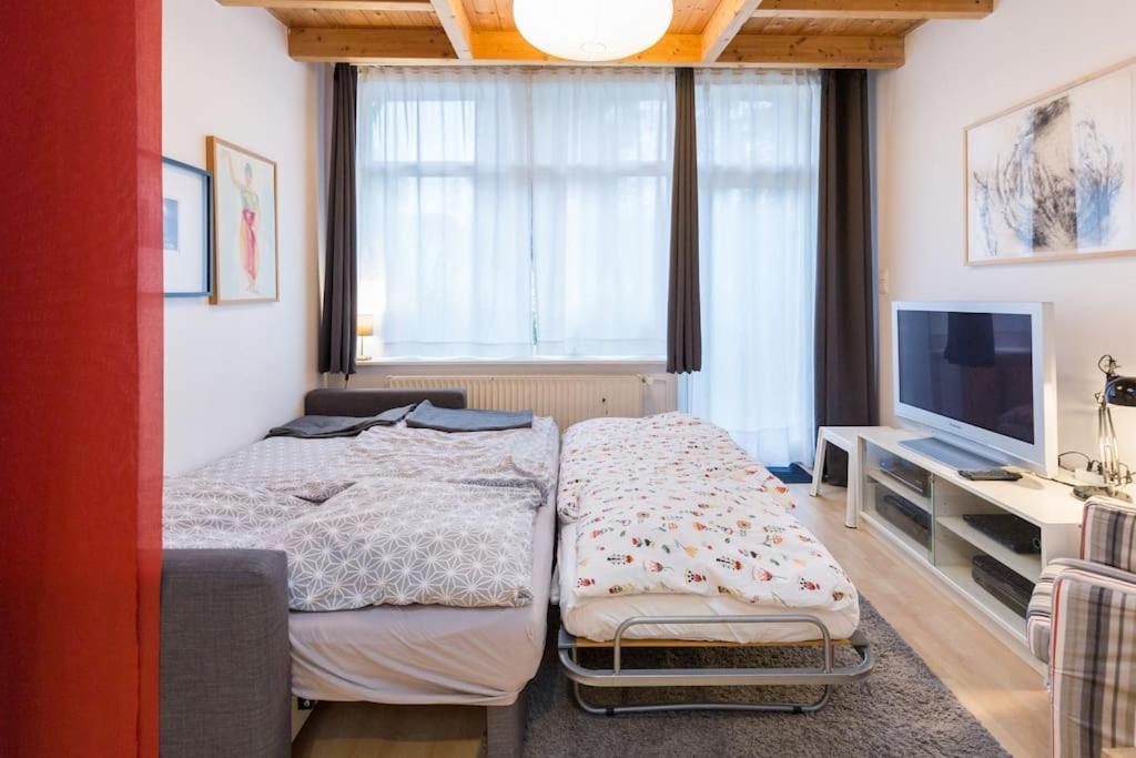 Apartment Wilhelmstr Fuer Bis Zu 3 Personen Brühl Exterior foto